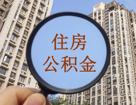 永城不小心把公积金提出来了（公积金误提了怎么办）
